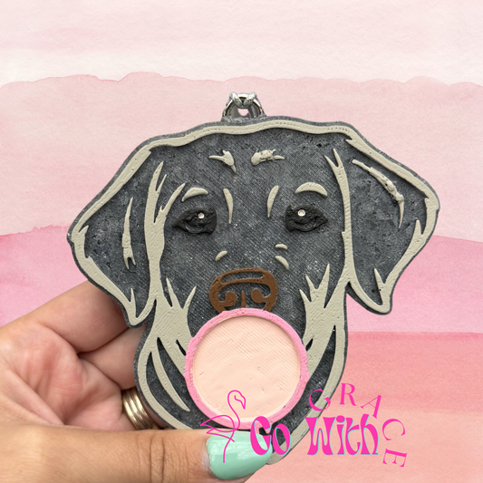 Bubblegum Labrador Retriever